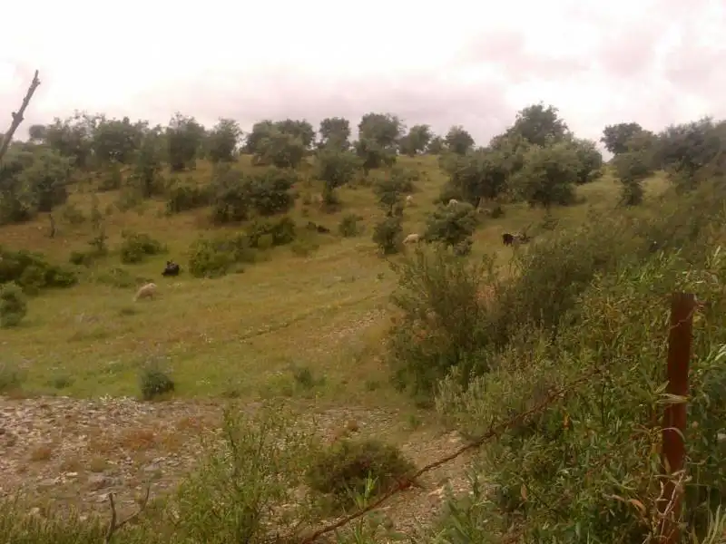 Casa rústica en venda a Valverde del Camino, imagen 16