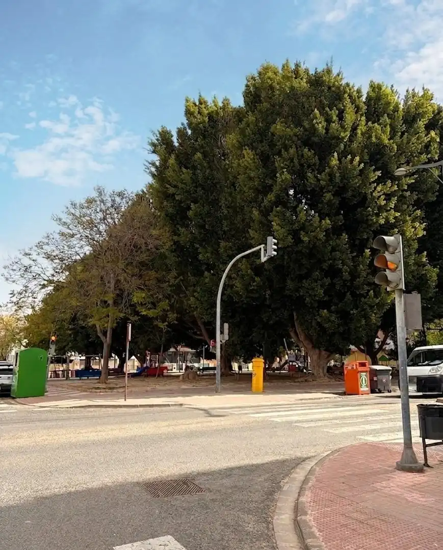 Gewerbefläche zur Miete in Algemesí, imagen 5