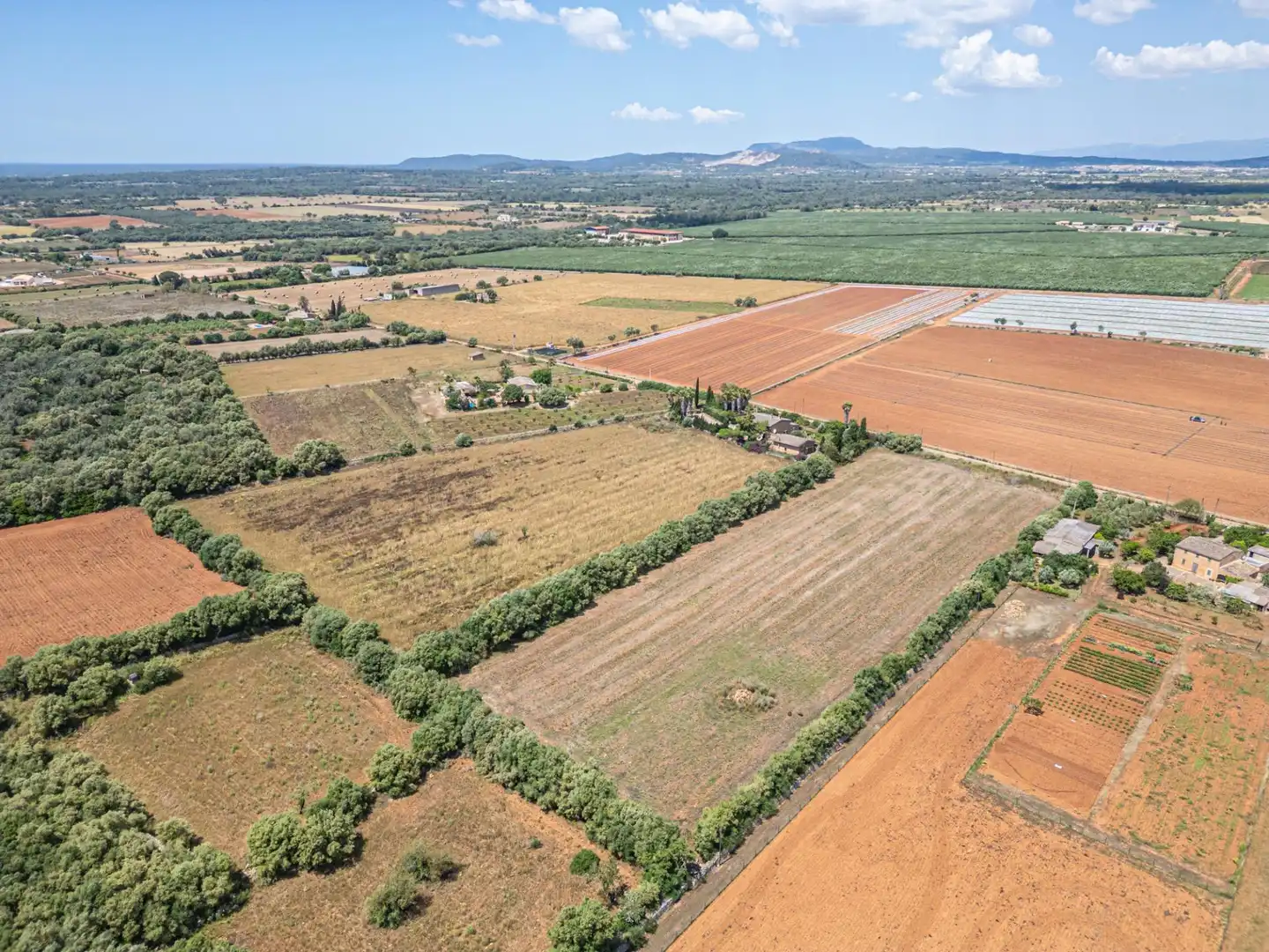 Rural land for sale in Felanitx Poble, imagen 15
