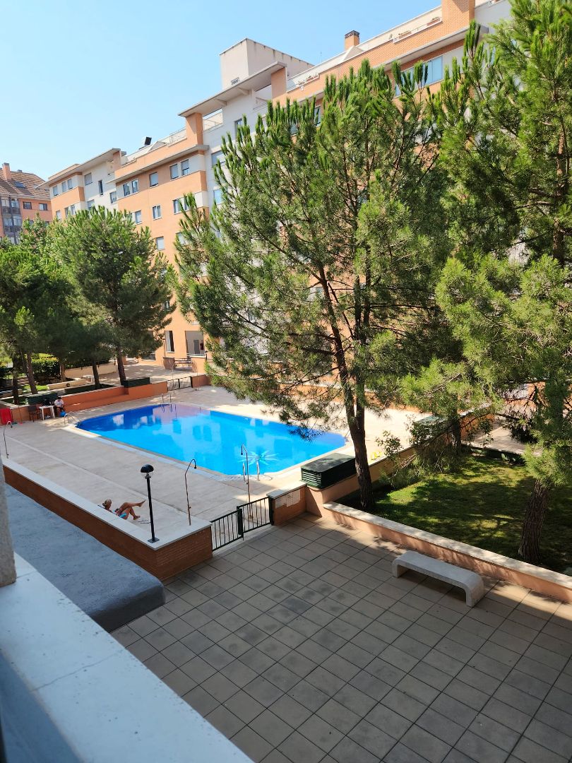 Swimming pool of Flat for sale in  Madrid Capital  with Air Conditioner, Heating and Parquet flooring