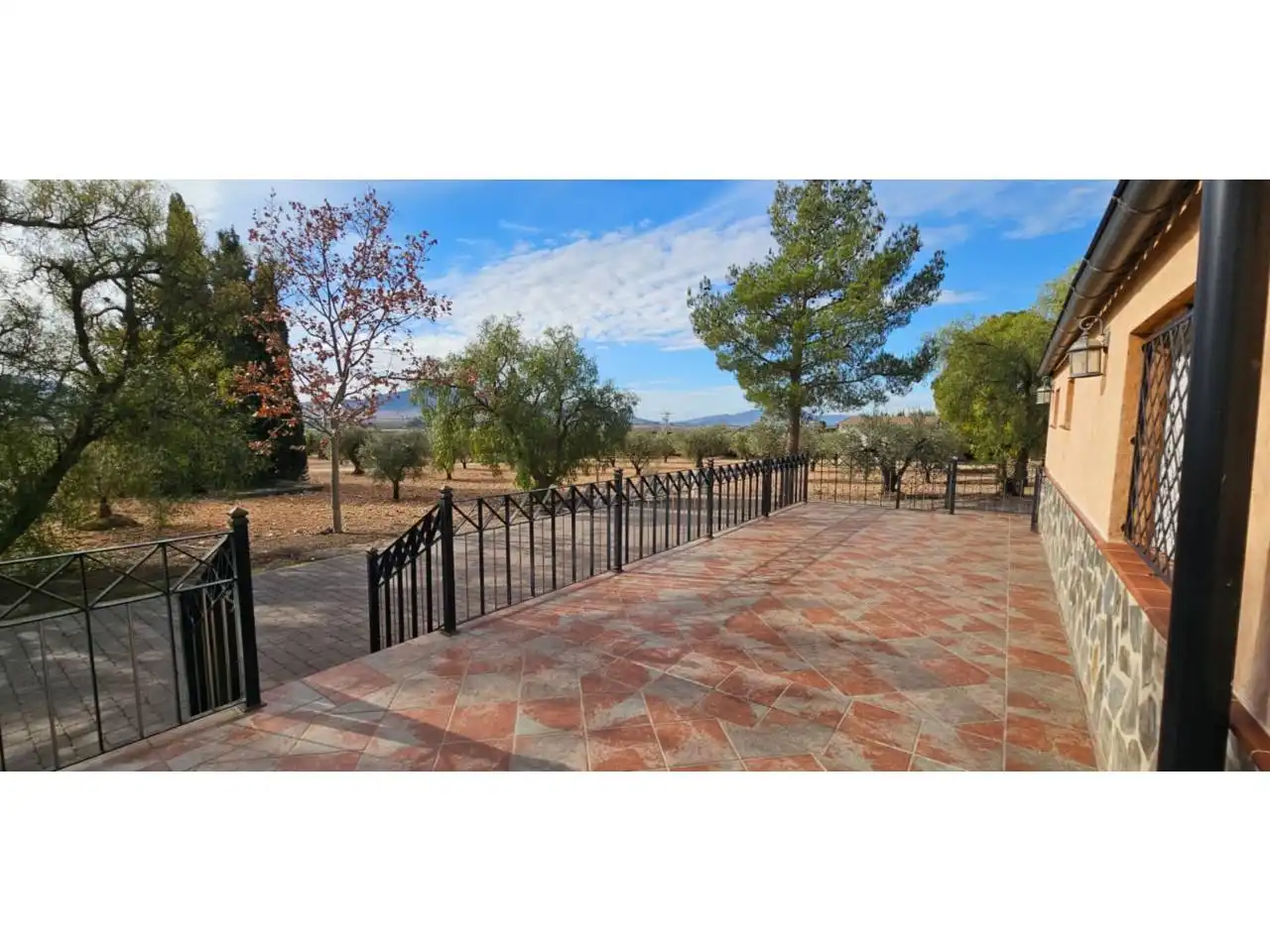 Chalet con piscina en venta en Jumilla, imagen 63