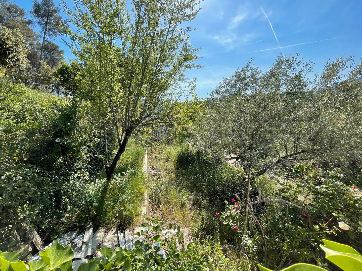 Residential land for sale in Carrer Raval Bassons 8, imagen 10