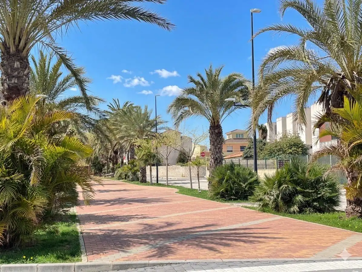 Terreno residencial en venta en Palmera, imagen 7