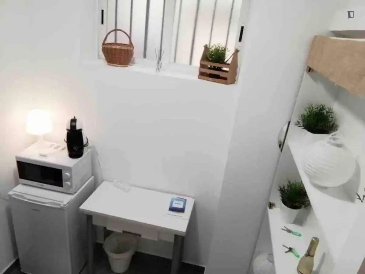 Studio à louer à Centro, imagen 19