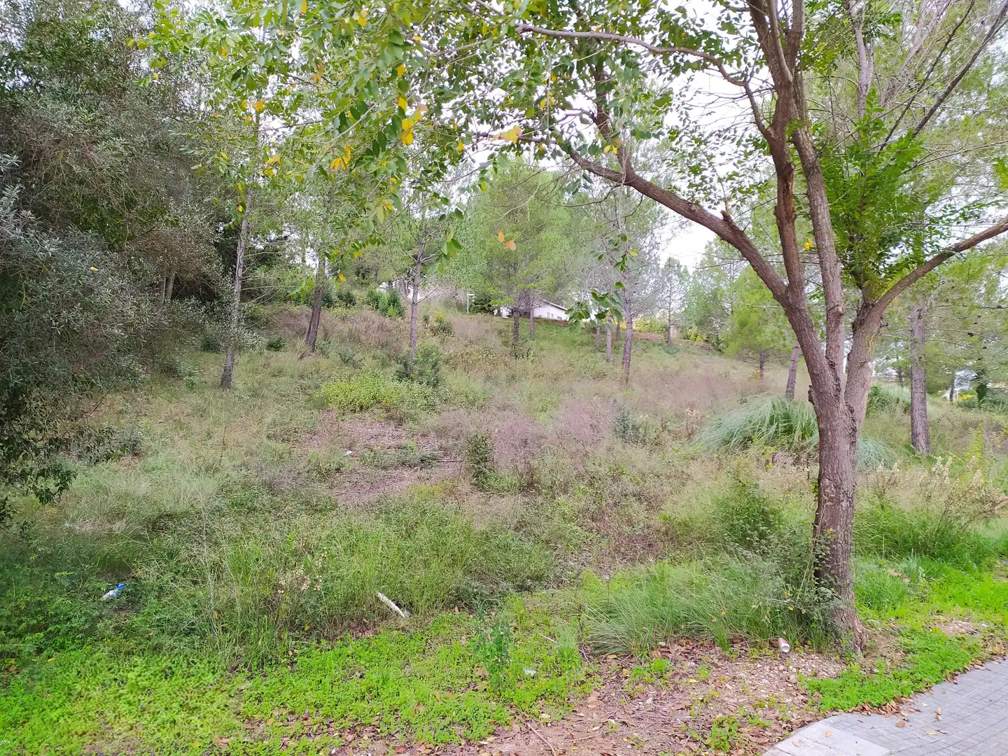 Residential land for sale in Ronda de la Pagesia, Sant Llorenç d'Hortons, Spain 67A, imagen 32