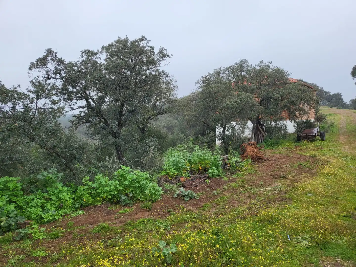 Terrain rustique à vendre à Camino de la Dehesa 236, imagen 2