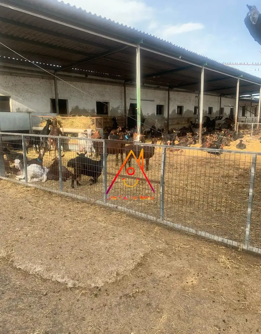 Finca rústica en venta en Crevillent con Jardín privado, Terraza y Piscina