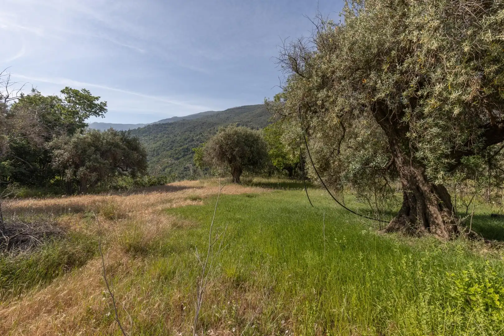 Lands and plots for sale in Carretera de Maitena, imagen 2