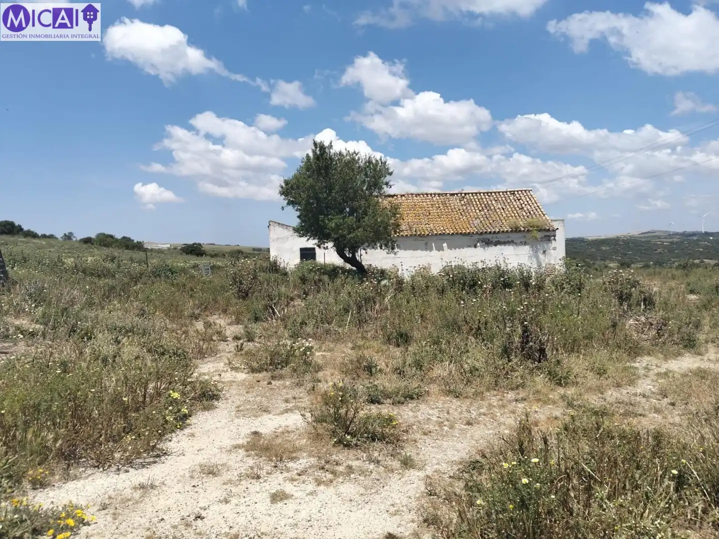 Terreny rústic en venda a Medina Sidonia, imagen 5