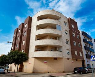 Exterior view of Garage for sale in El Ejido