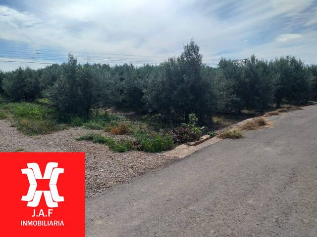 Terreno en Venta en Camino Camino Polsana en Moncada