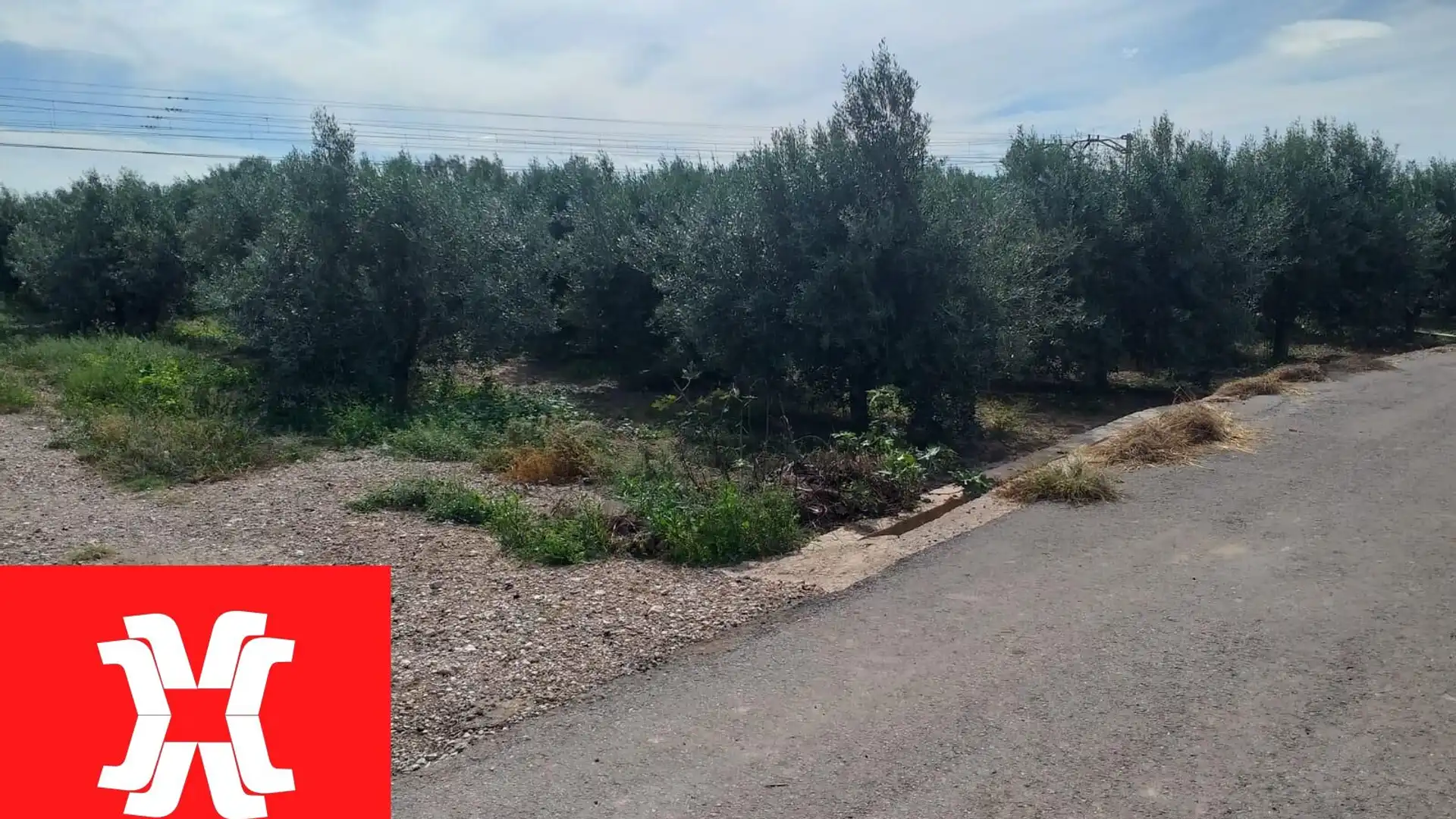 Terreno en venta en Moncada