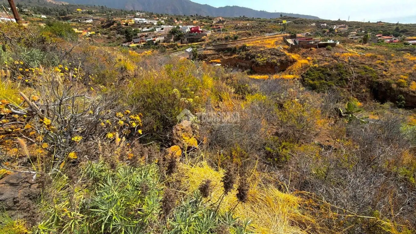 Rural land for sale in Arafo, imagen 8