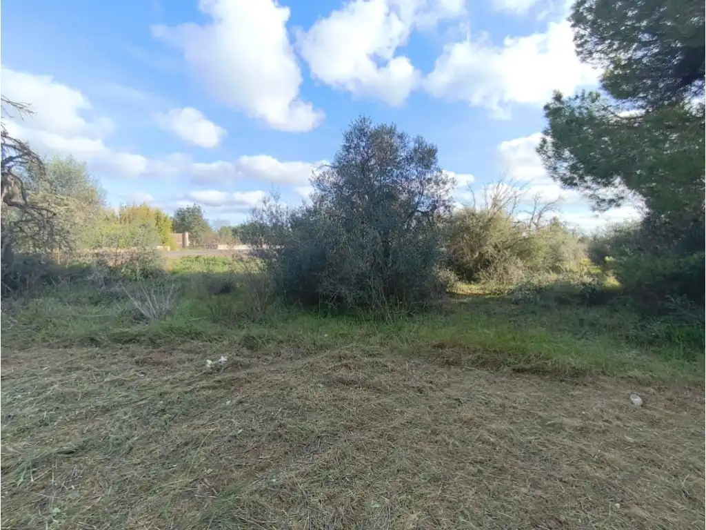 Country homes for sale in Poligono 2 Paraje 141 Sencelles, Zona Periurbana