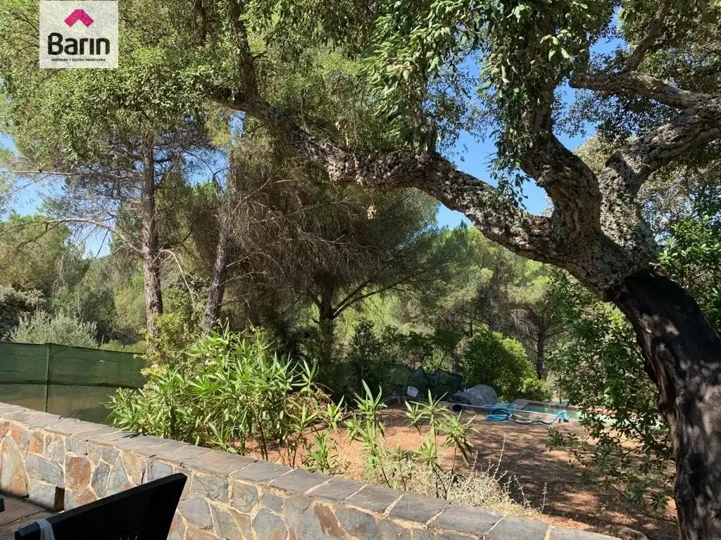 Jardín de Casa o chalet en venta en Córdoba con Aire acondicionado, Calefacción y Terraza