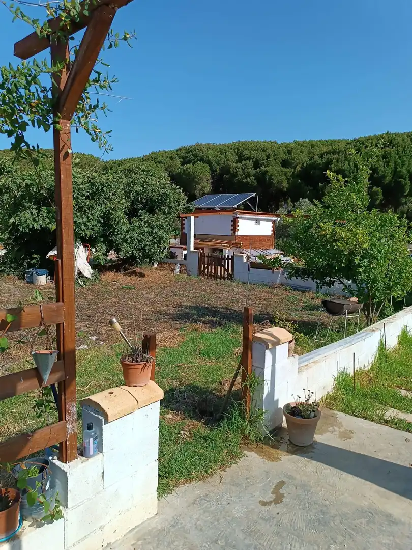 Garten von Residential zum Verkauf in Puerto Real
