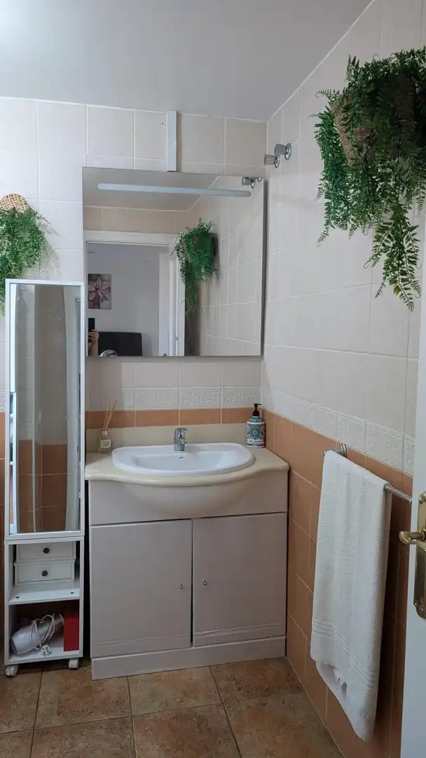 Bany de Casa o xalet en venda en Ayamonte amb Aire condicionat, Jardí privat i Terrassa