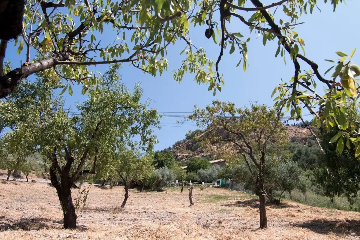 Finca rústica en venta en Güéjar Sierra con Jardín privado, Terraza y Piscina