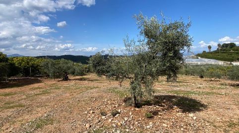 Foto 3 de Terreny en venda a Centro, Alhaurín El Grande