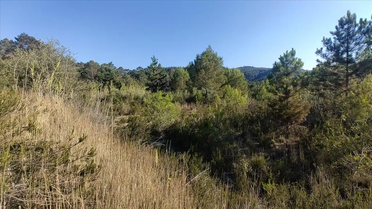 Residential for sale in Quatretonda