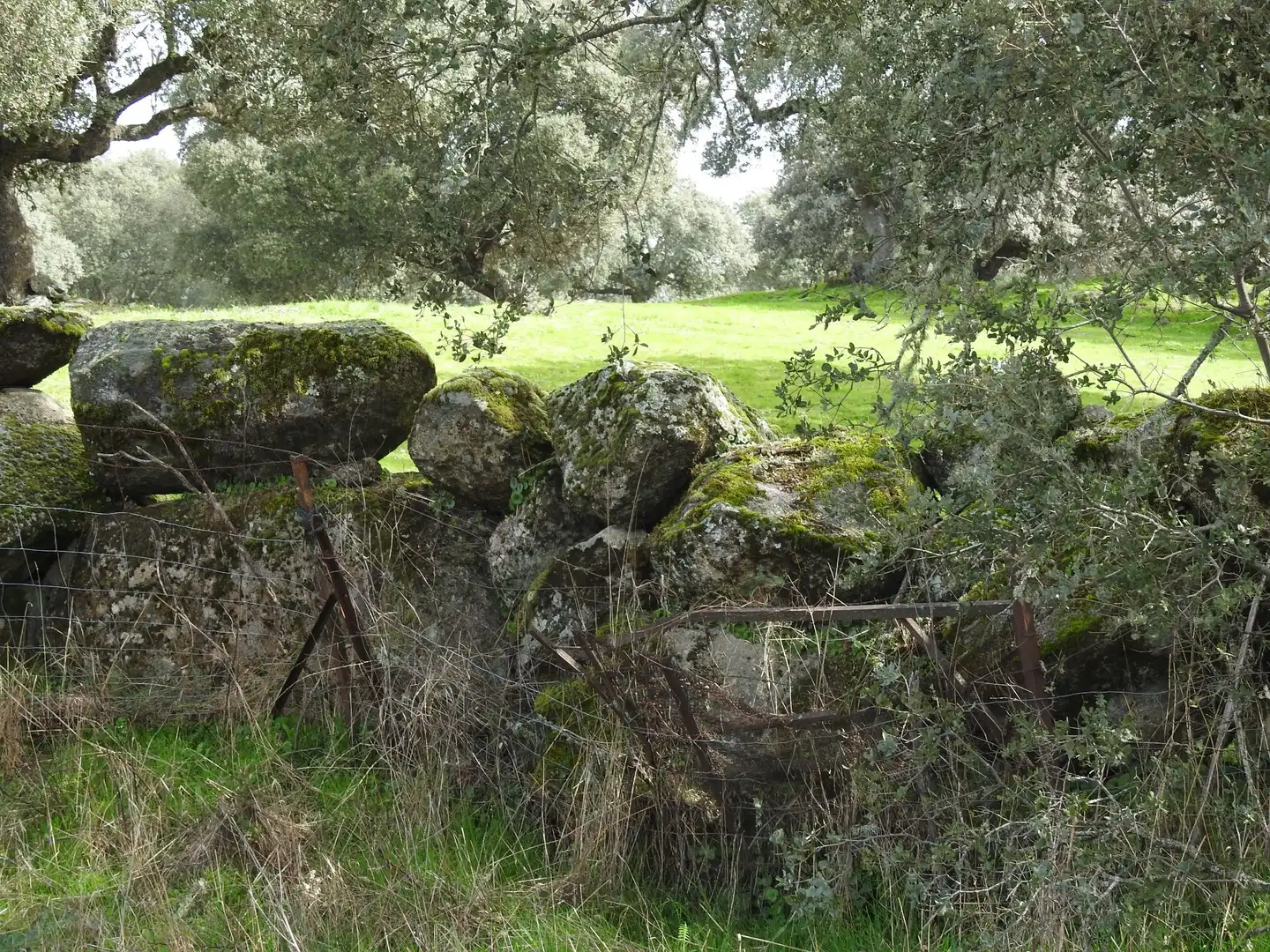 Terreni e lotti in vendita a Navamorcuende, imagen 5