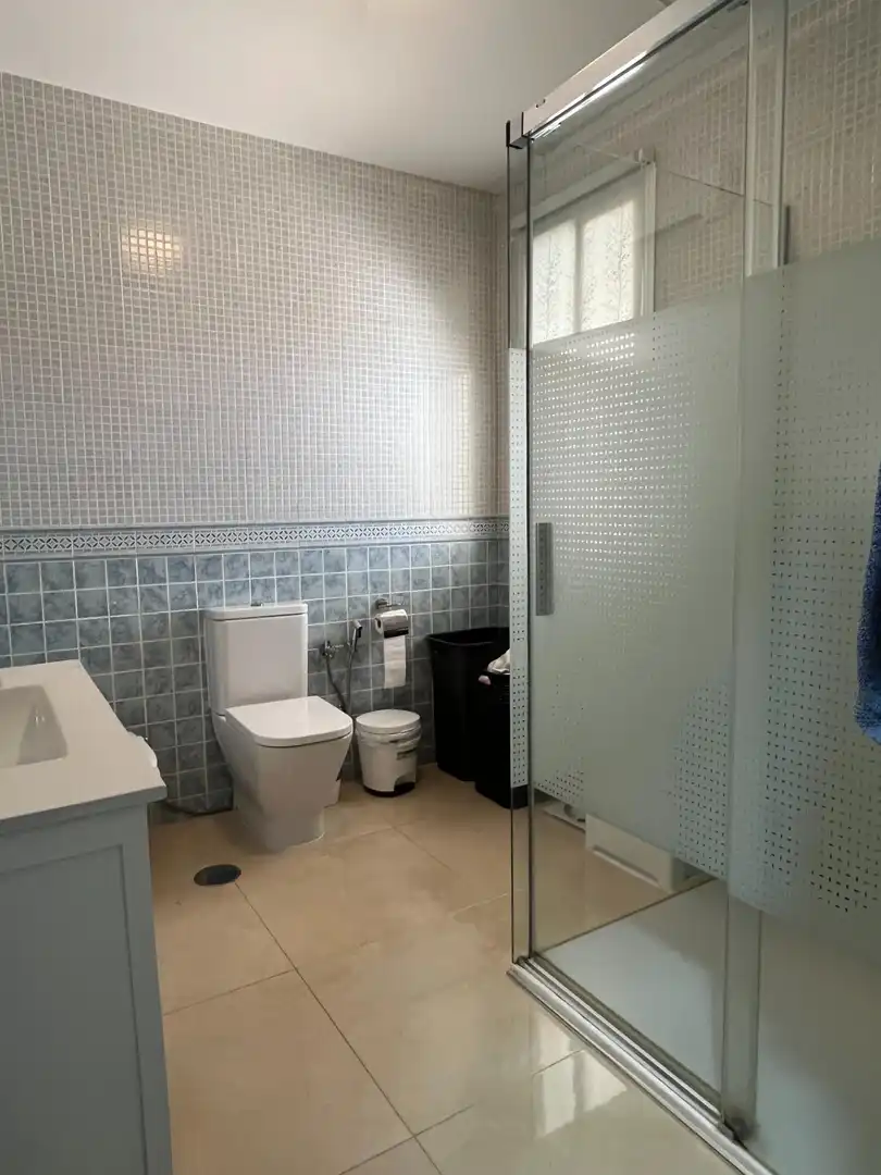 Baño de Casa o chalet en venta en El Viso del Alcor