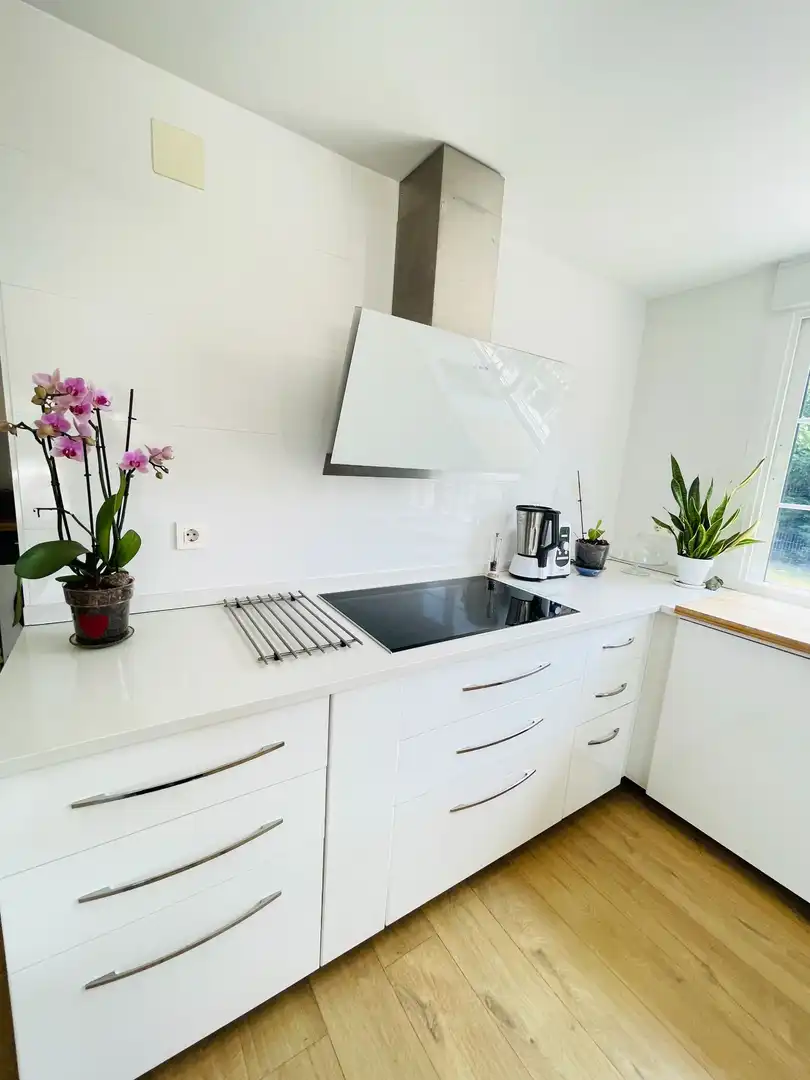 Cuina de Casa o xalet en venda en Nuevo Baztán amb Aire condicionat, Calefacció i Jardí privat