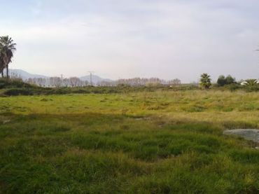 Terrain rustique à vendre à Sueca ciudad