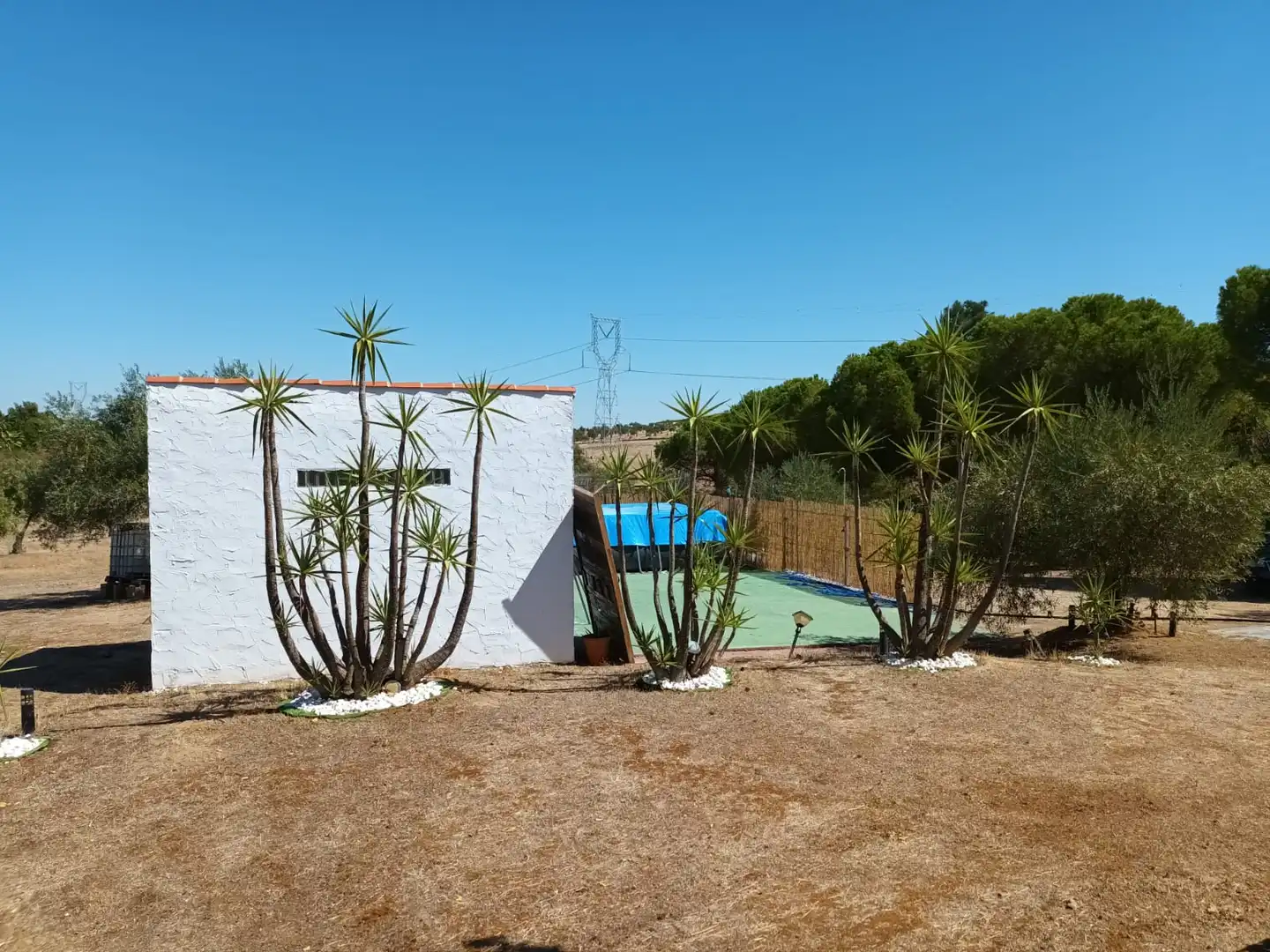 Villa avec jardin à vendre à Don Álvaro, imagen 11