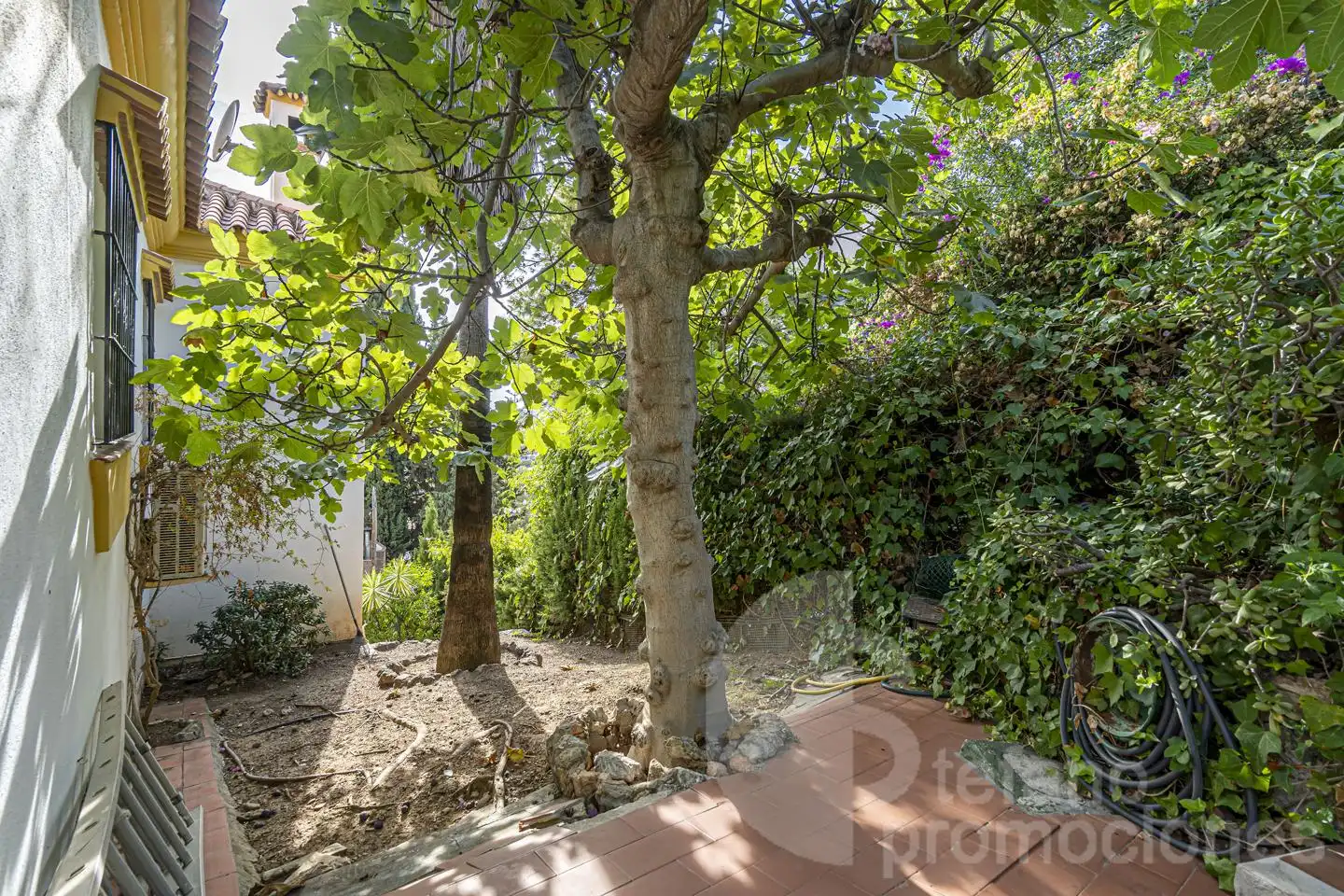House with terrace for sale in Este, imagen 33