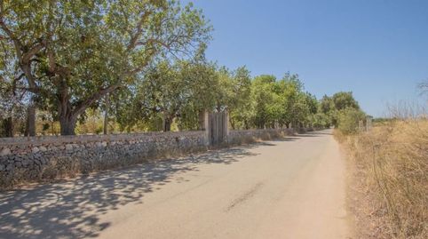 Foto 3 von Haus oder Chalet zum Verkauf in Polig 4 - Parcelas 485 y 52 (terrades), Santa María del Camí, Illes Balears