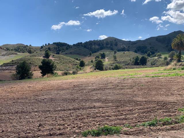 Casa-chalet en Alquiler en Morata