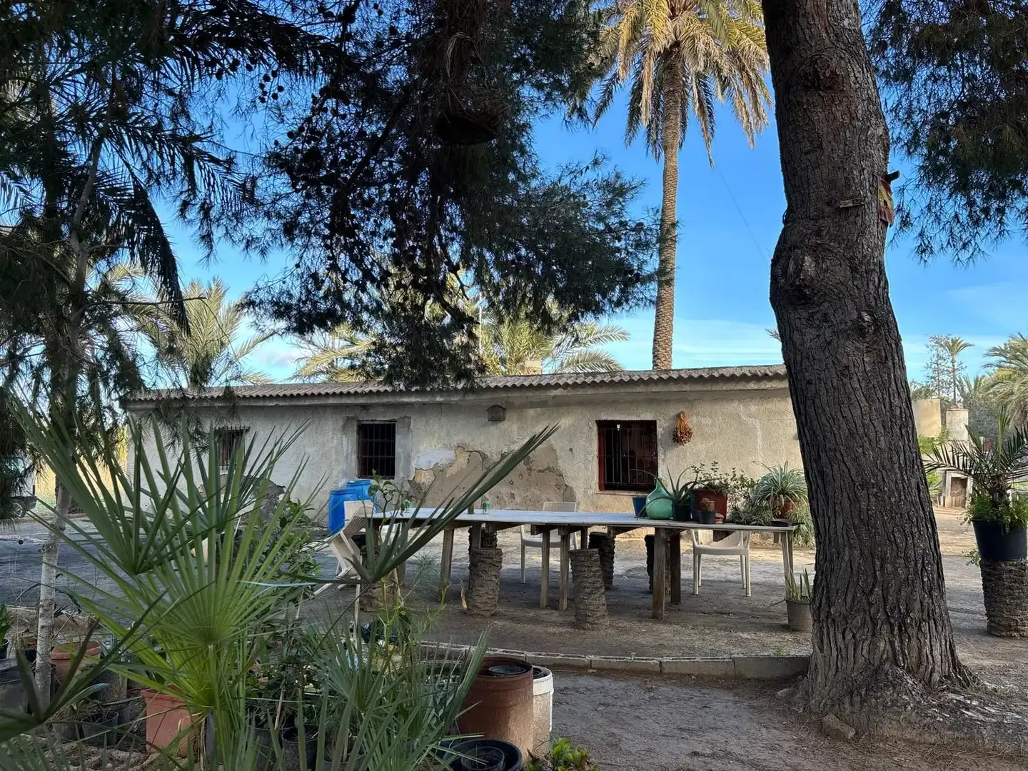 Jardí de Finca rústica en venda en Elche / Elx