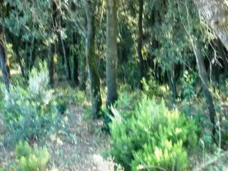 Terrenys i solars en venda a Gualba, imagen 7