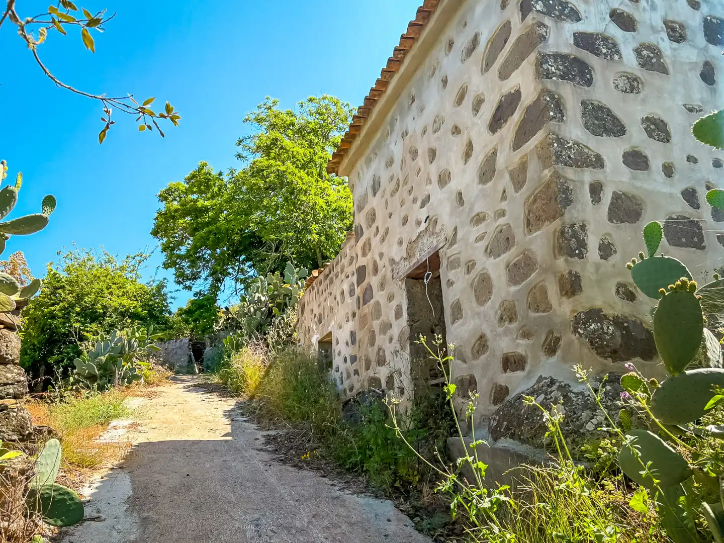 Vista exterior de Casa o chalet en venta en Valleseco
