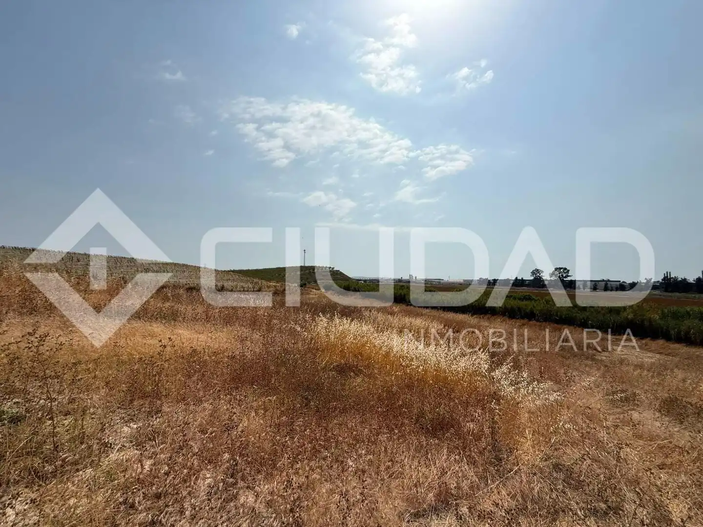 Lands and plots for sale in Lebrija, imagen 15