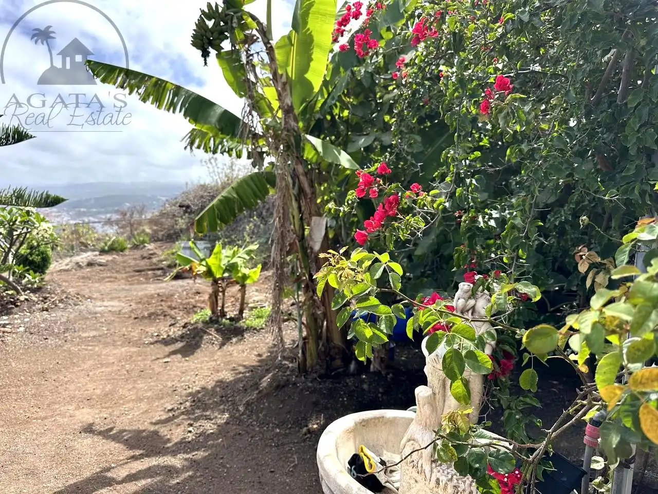Garten von Country house zur Miete in El Genovés mit Privatgarten, Terrasse und Möbliert
