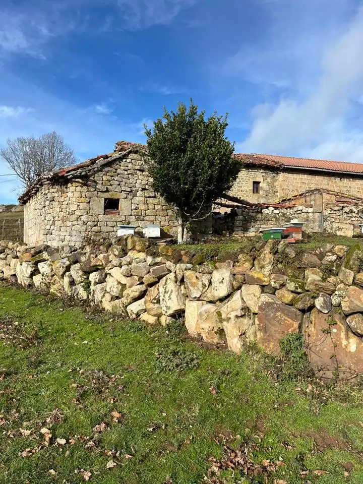 Casa o chalet en venta en Reinosa / Matalataja, Reinosa