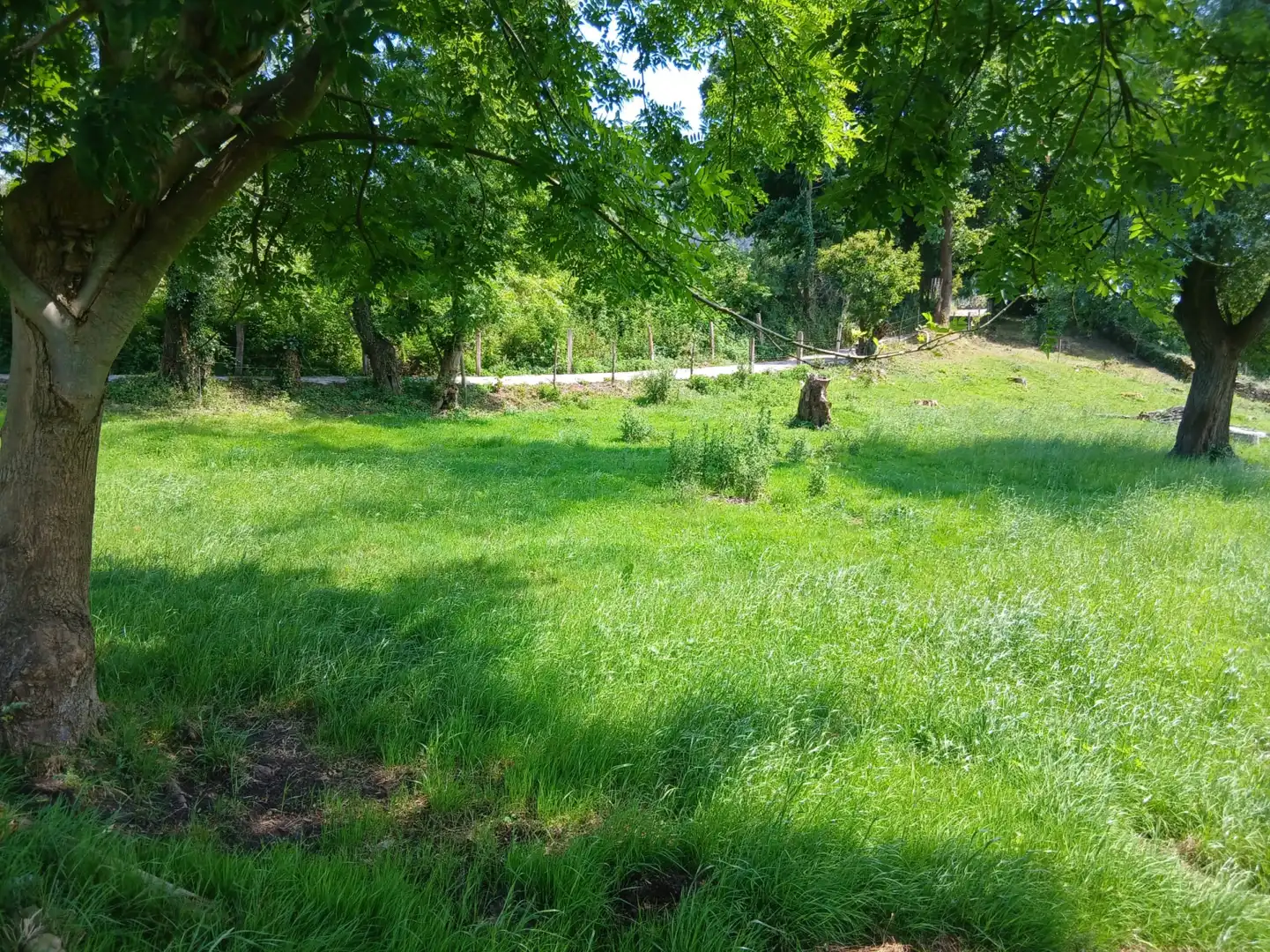 Terreni e lotti in vendita a San Felices de Buelna, imagen 11