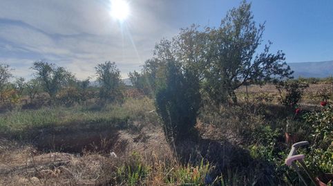 Foto 4 de Terreno en venta en Calle San Kenan, 19, Albuñán, Granada