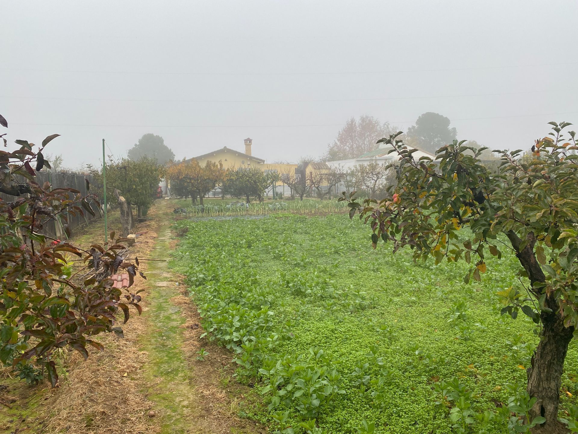 Finca rústica en venda en Tudela