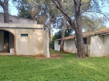 Terrenys i solars en venda a Los Franceses – La Vega