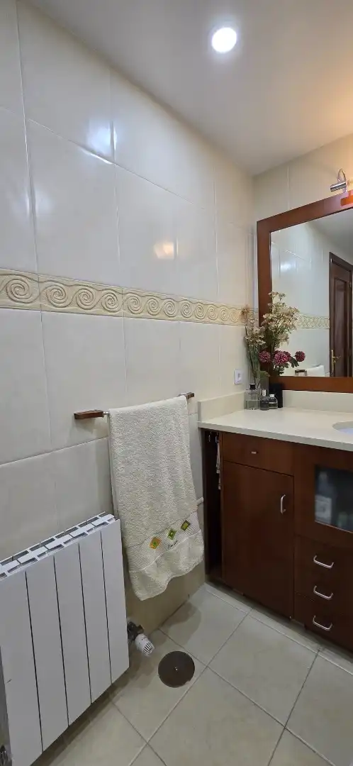 Bany de Pis en venda en Jaén amb Aire condicionat, Terrassa i Traster