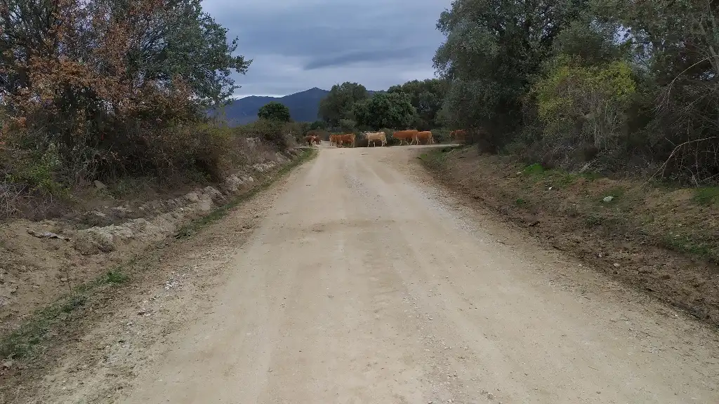 Terreni e lotti in vendita a Fresnedilla, imagen 11