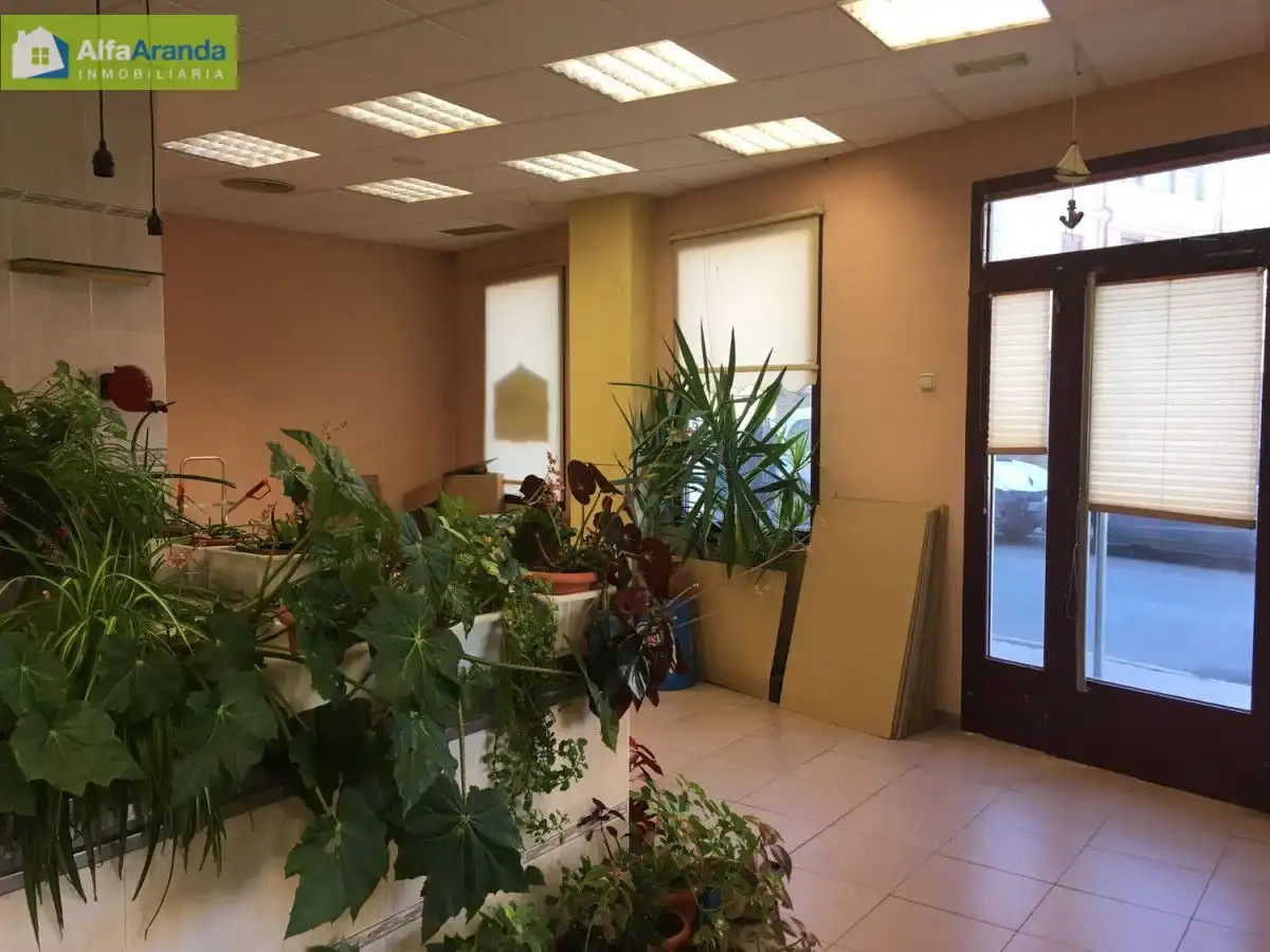 Gewerbefläche zur Miete in Santa Catalina - Ferial, imagen 8