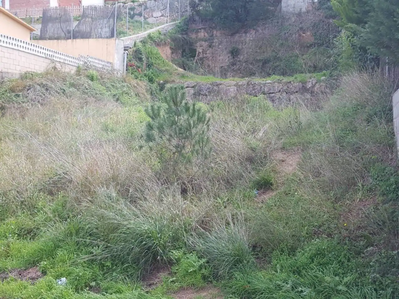 Residential land for sale in Mas Mora - Sant Daniel, imagen 3
