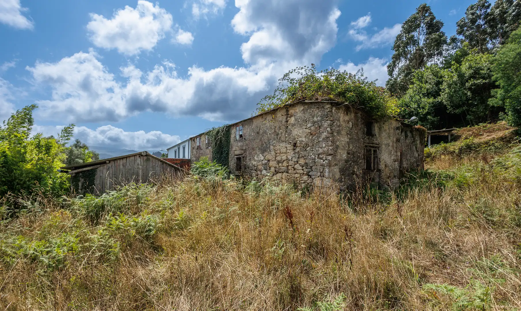 Vista exterior de Finca rústica en venda en Ourol