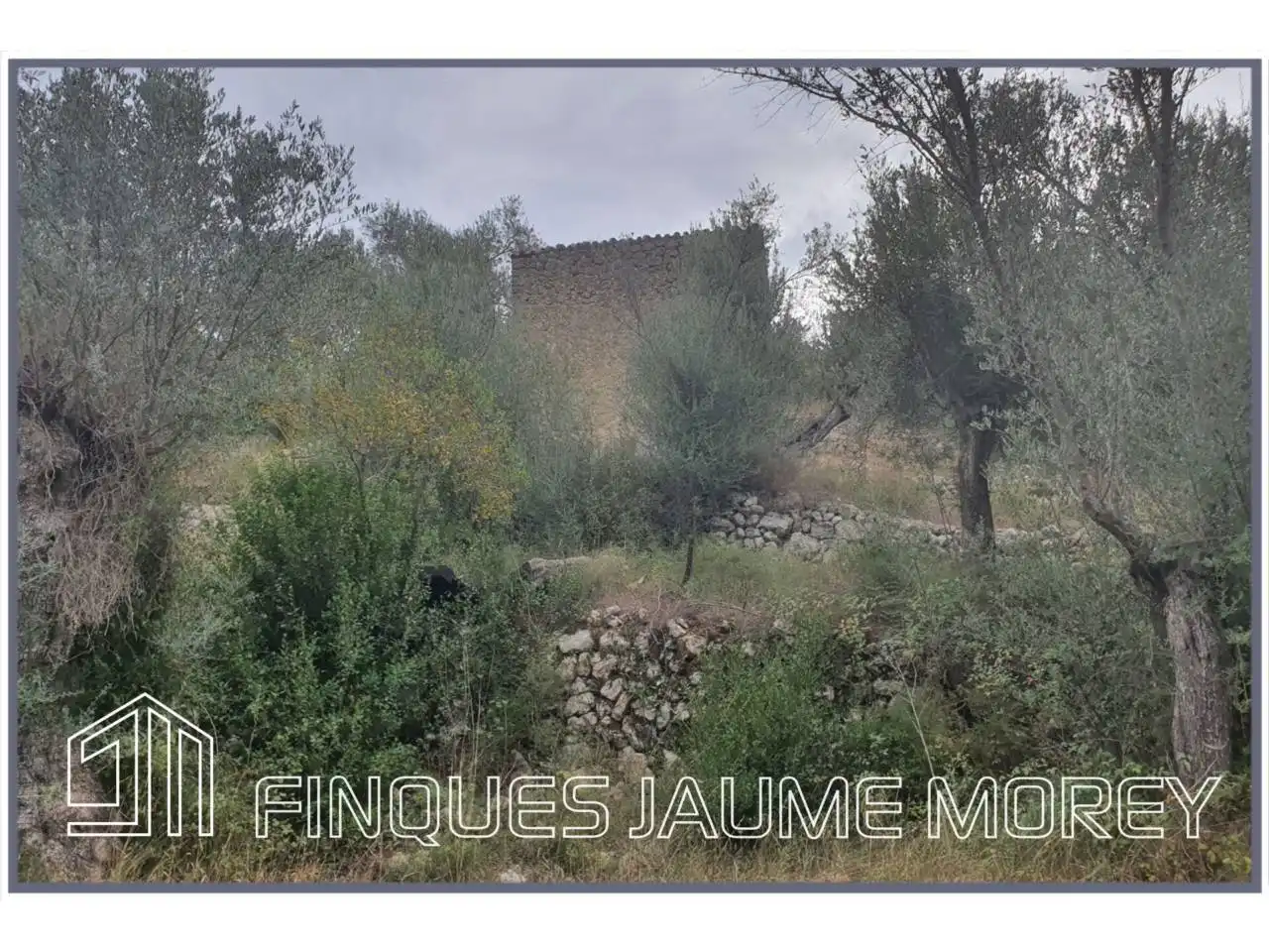 Finca rústica en venda en Selva amb Jardí privat