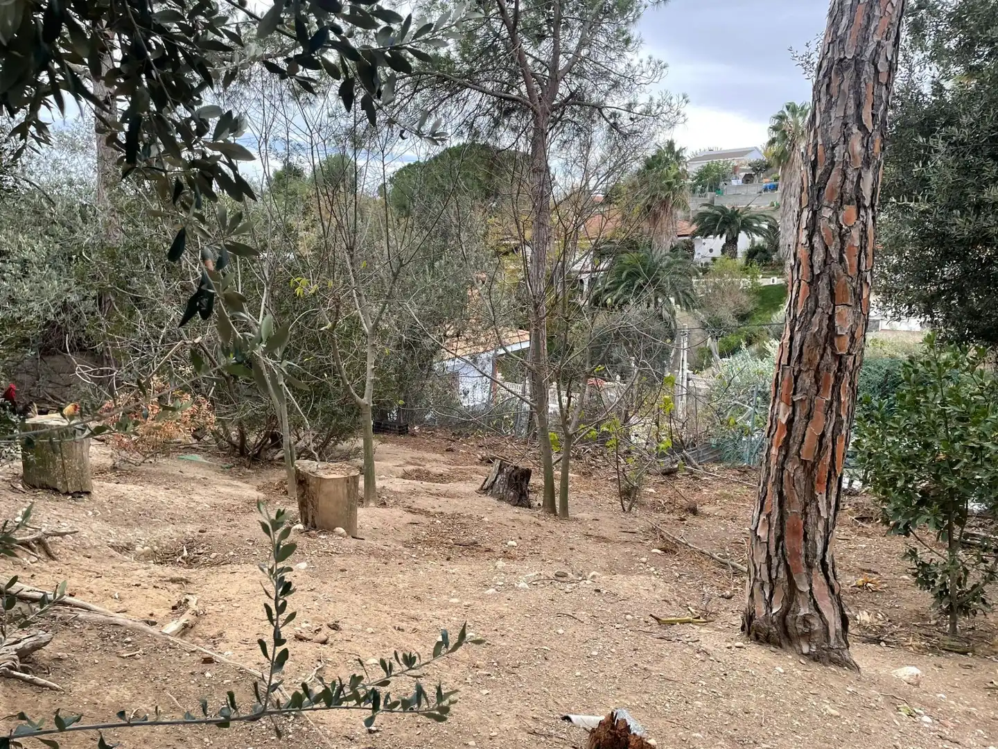 Terreno residenziale in vendita a Els Hostalets de Pierola, imagen 14