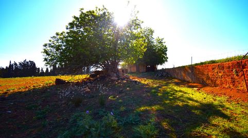 Foto 2 de Finca rústica en venta en Muro, Illes Balears